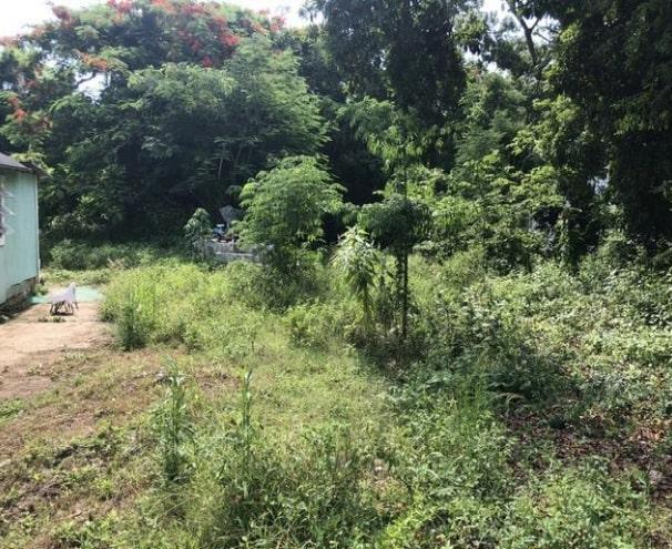 MLS# 52066 Freetown Lane Downtown New Providence/Paradise Island