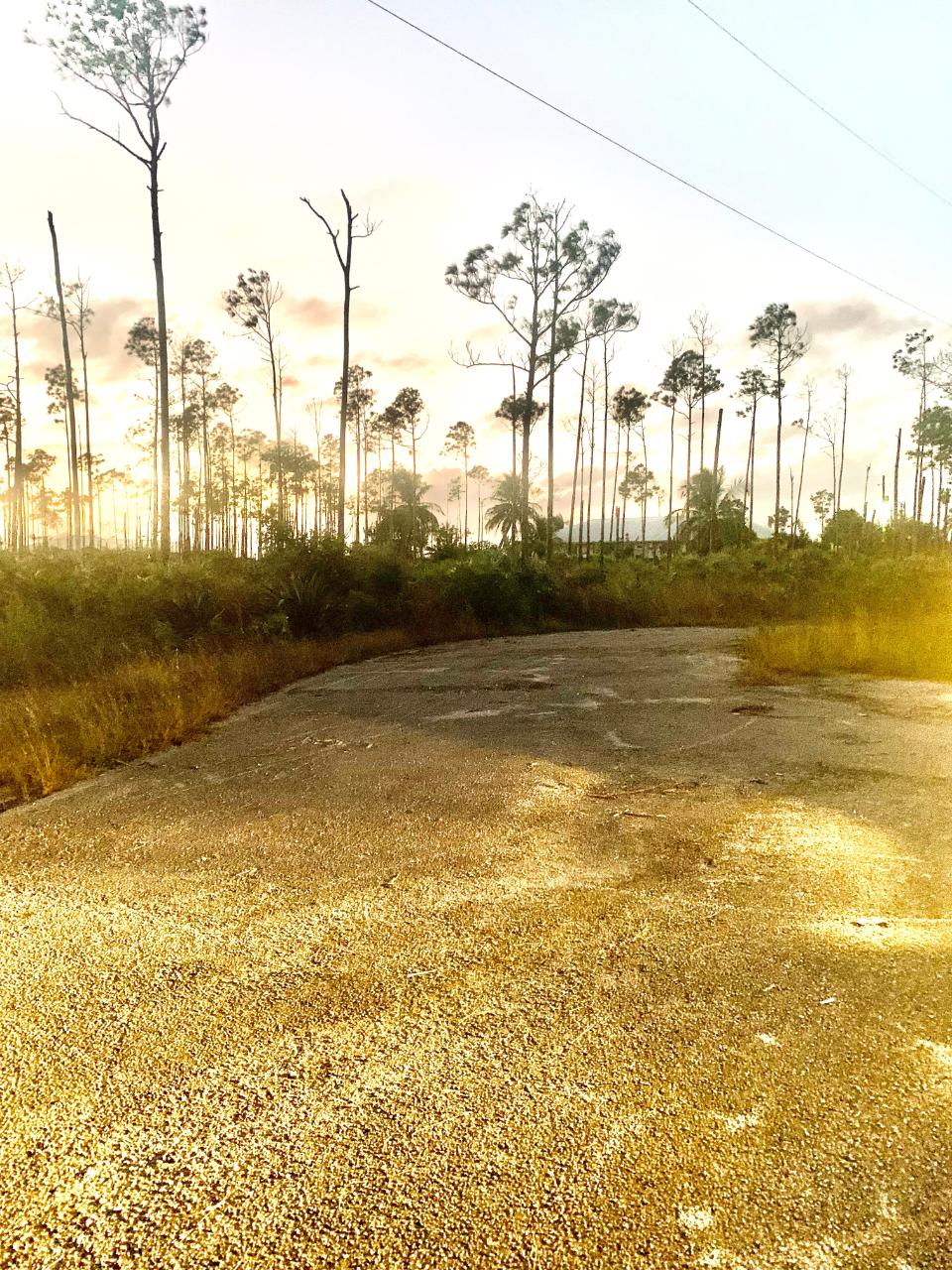 MLS# 55237 Bristol Bay Grand Bahama/Freeport