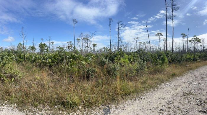 MLS# 55329 Vacant Land Arden Forest Grand Bahama/Freeport