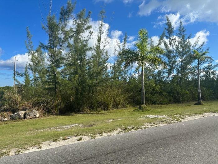 MLS# 55549  Airport Industrial Park New Providence/Paradise Island