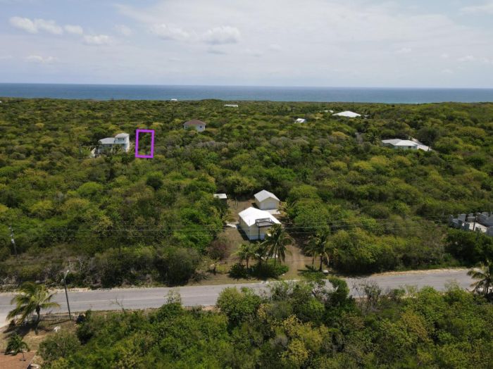 MLS# 55710 FREEHOLD Gregory Town Eleuthera