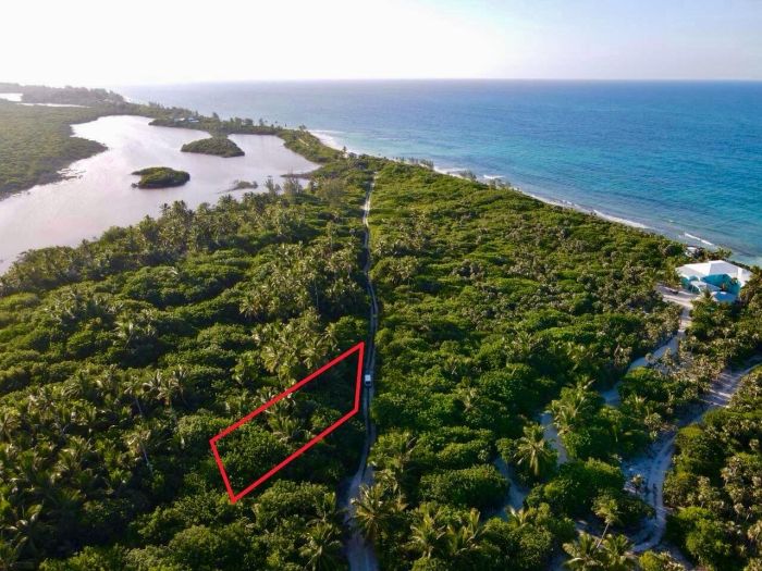 MLS# 58241 FREEHOLD Double Bay Eleuthera