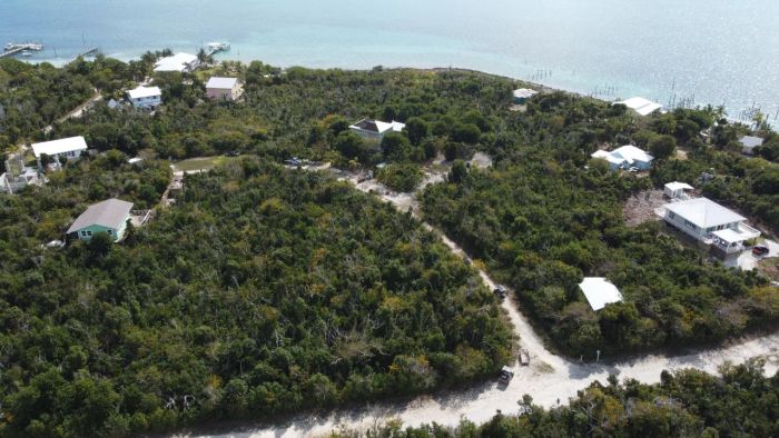 MLS# 58345  Lubbers Quarters Abaco