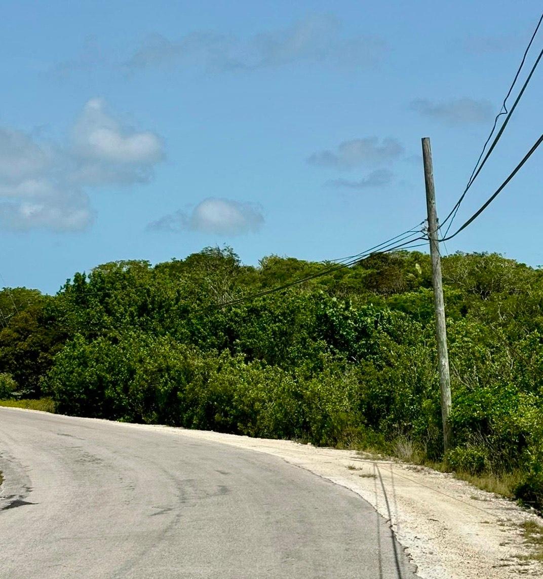 MLS# 58474 Clarence Town Acres  Long Island