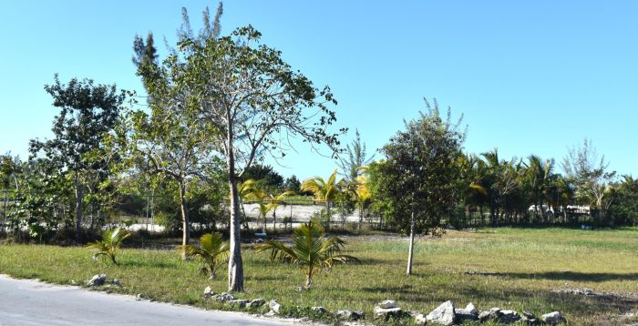 MLS# 58662   Eleuthera