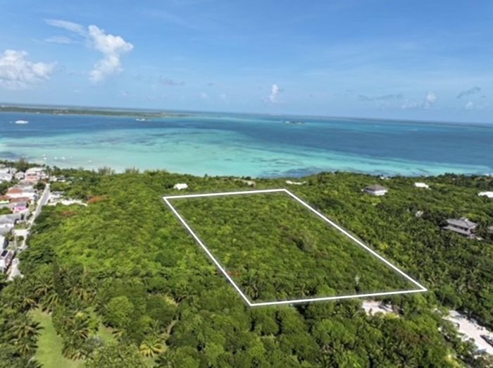 MLS# 58671  Harbour Island Eleuthera