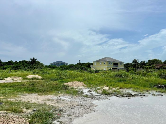 MLS# 58705   New Providence/Paradise Island