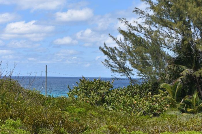 MLS# 58834 Eleuthera Lot Rainbow Bay Eleuthera