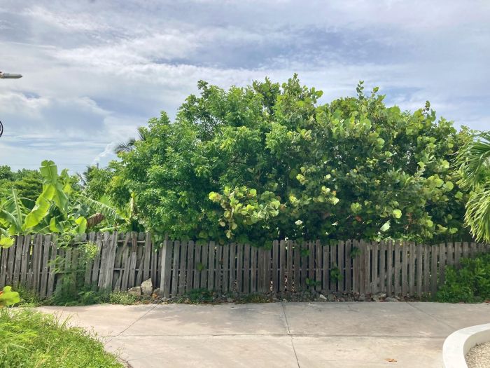 MLS# 58895 Vacant Lot M-O-W Cay Man-O-War Cay Abaco