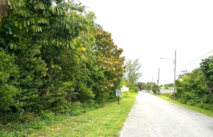 MLS# 59189 Freeport Lot Other Grand Bahama/Freeport Grand Bahama/Freeport