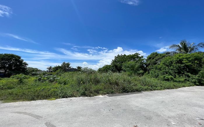 MLS# 59351  Other New Providence/Nassau New Providence/Paradise Island