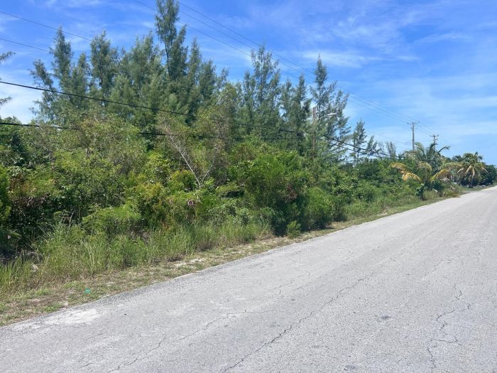 MLS# 59386 LOT C MARSHALL ROAD Marshall Road New Providence/Paradise Island