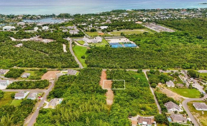 MLS# 59411  717 New Providence/Paradise Island