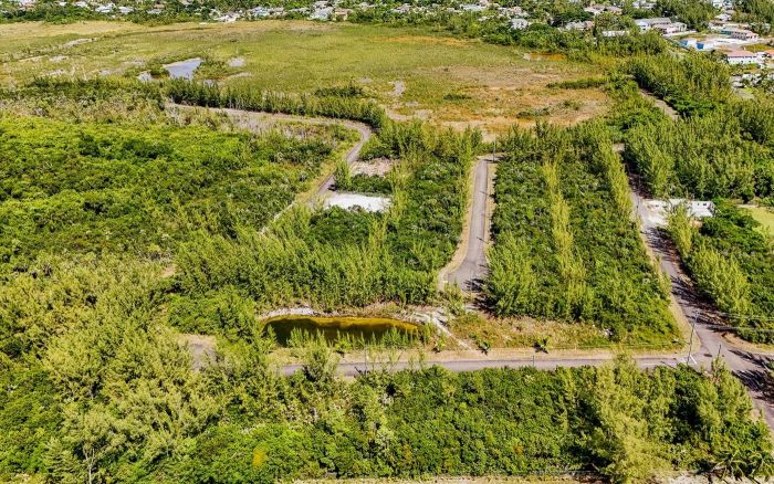 MLS# 59700  Coral Harbour New Providence/Paradise Island