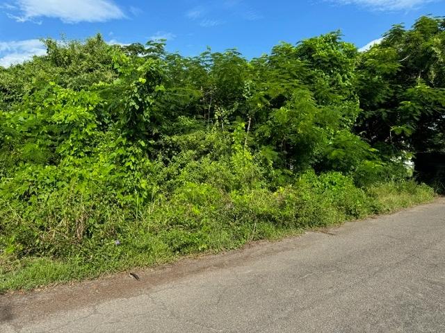 MLS# 59800  Other New Providence/Nassau New Providence/Paradise Island