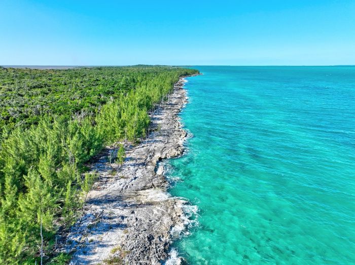 MLS# 60296 Lot #1 Part of Grant Treasure Cay Abaco