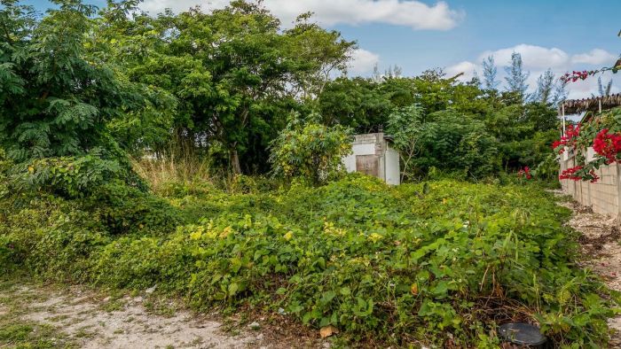 MLS# 60585  West Bay Street New Providence/Paradise Island