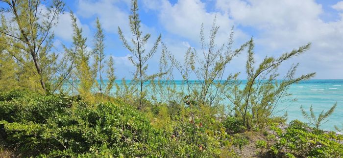 MLS# 60762 Current Lot Current Eleuthera