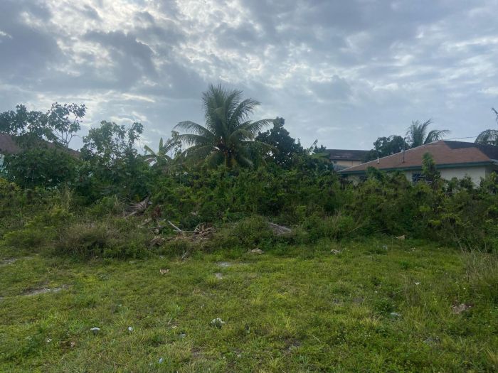 MLS# 61503  Carmichael Road New Providence/Paradise Island