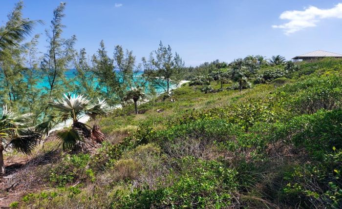 MLS# 61591  Palmetto Point Eleuthera