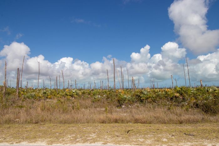 MLS# 61697  Chesapeake Grand Bahama/Freeport