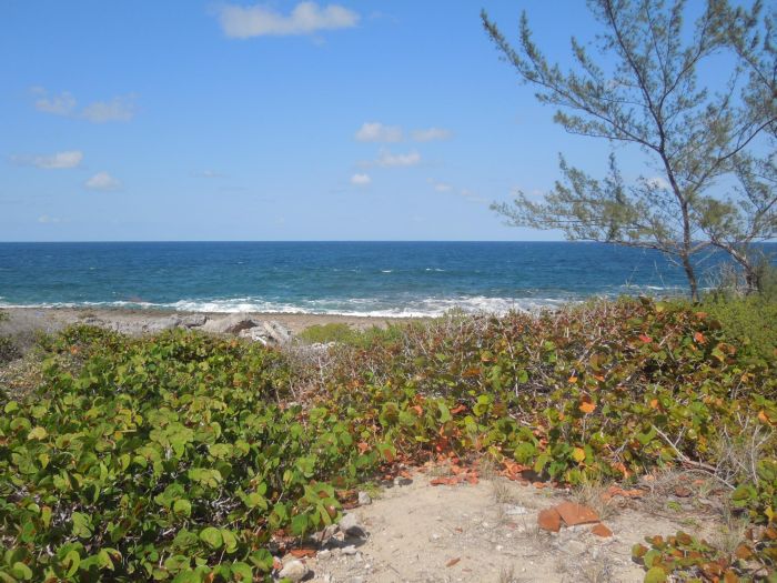 MLS# 61813 Waterfront Lot Whale Point Eleuthera
