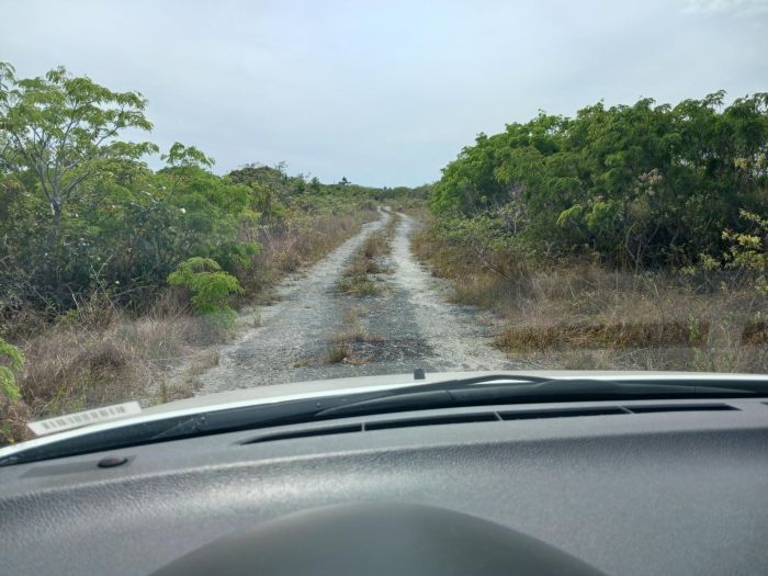 MLS# 61817  Other Grand Bahama/Freeport Grand Bahama/Freeport