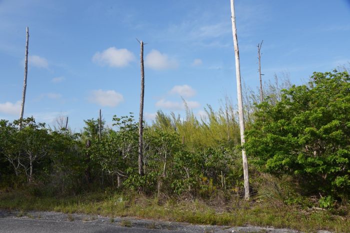 MLS# 61920  Suffolk Grand Bahama/Freeport