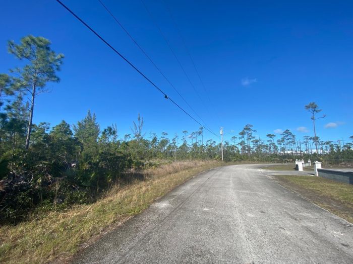 MLS# 62100  Shannon Subdivision Grand Bahama/Freeport