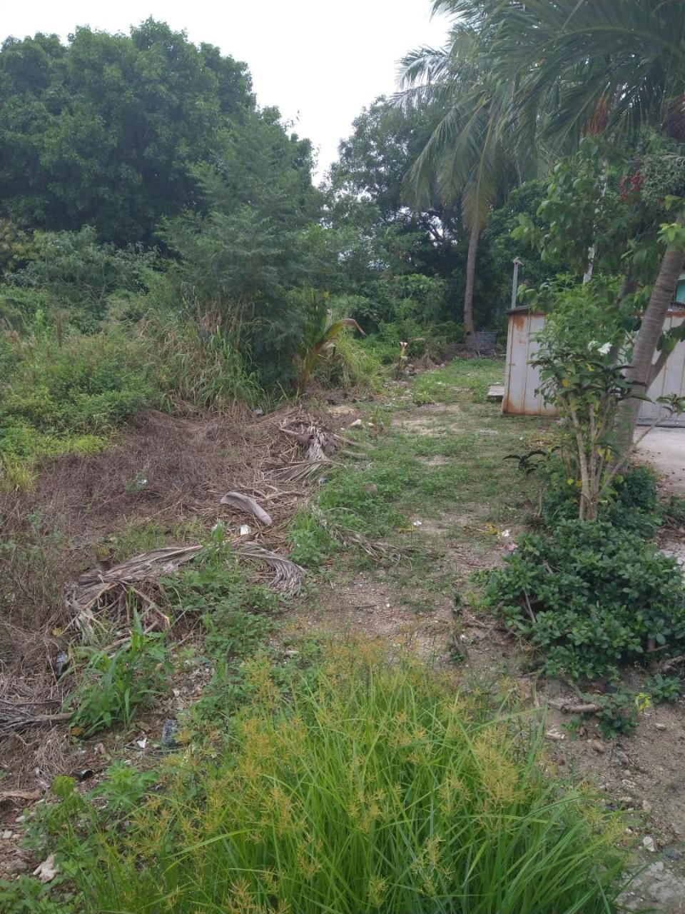 MLS# 62126 Other New Providence/Nassau New Providence/Paradise Island