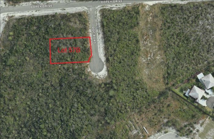 MLS# 62173  Love Beach New Providence/Paradise Island