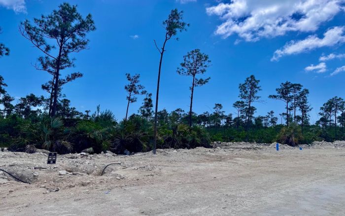 MLS# 62188  Adelaide New Providence/Paradise Island
