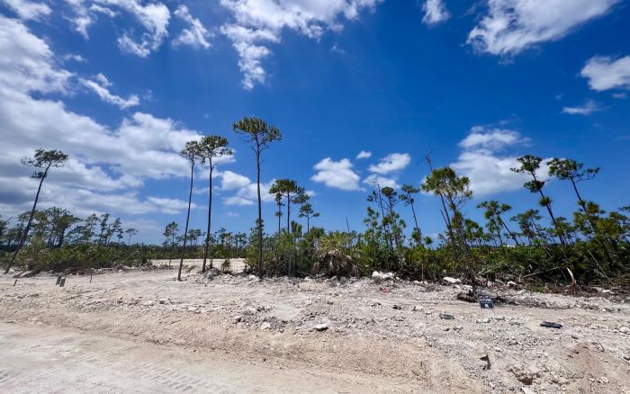 MLS# 62190  Adelaide New Providence/Paradise Island