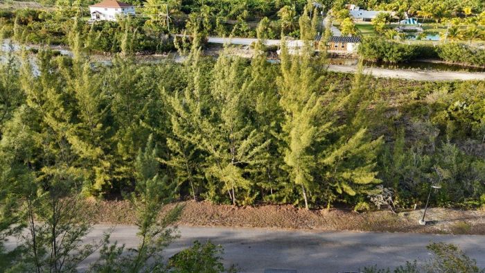 MLS# 62372 South Seas Estates Bacardi Road New Providence/Paradise Island