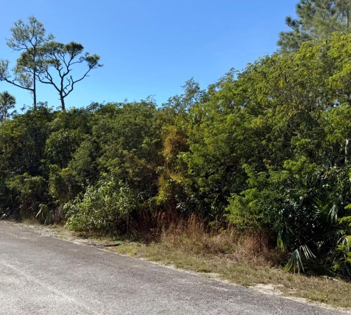 MLS# 62375  Marsh Harbour Abaco