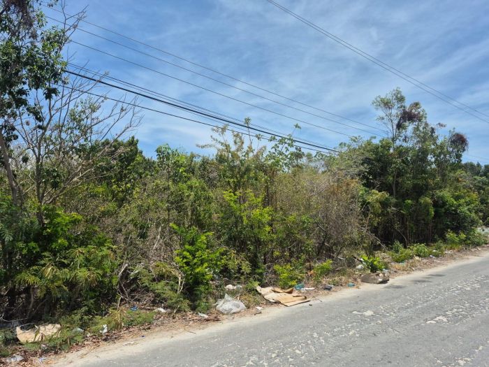 MLS# 62468  Rock Sound Eleuthera