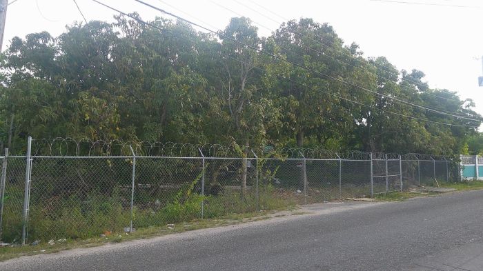MLS# 62472   New Providence/Paradise Island