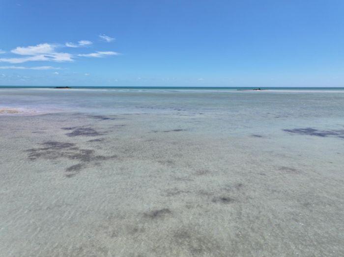 MLS# 62487  Bacardi Road New Providence/Paradise Island