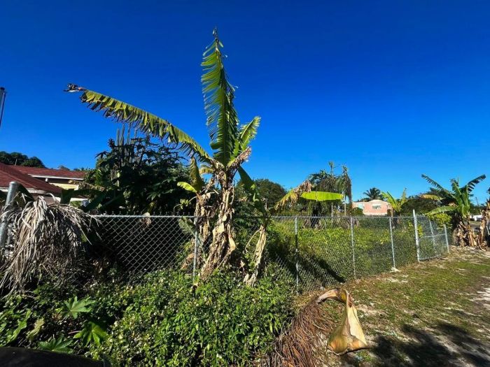 MLS# 62502  Chippingham New Providence/Paradise Island
