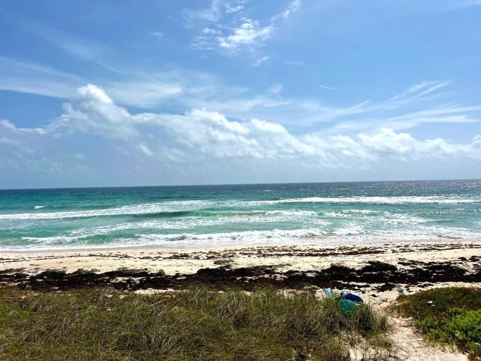 MLS# 62505  Salt Pond Long Island
