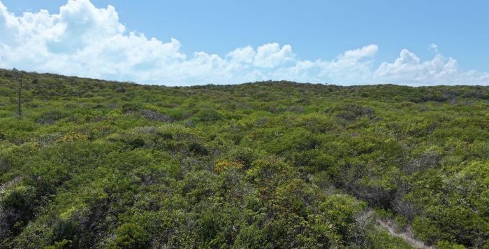MLS# 62561 Development Property  Long Island