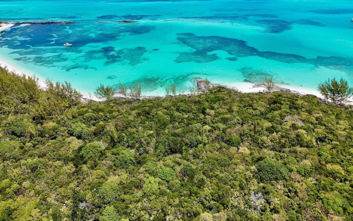MLS# 62585  Rose Island New Providence/Paradise Island