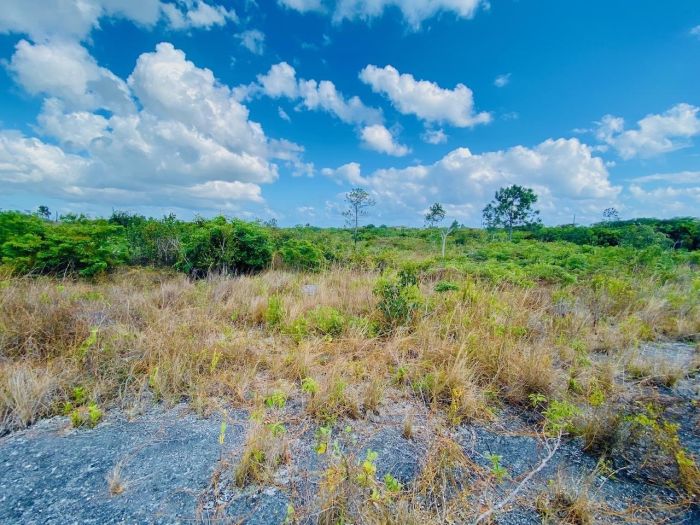 MLS# 62717  Holmes Rock Grand Bahama/Freeport