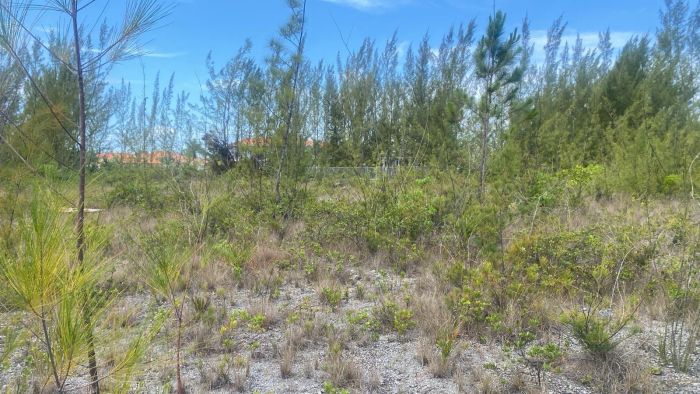 MLS# 62750  Coral Harbour New Providence/Paradise Island