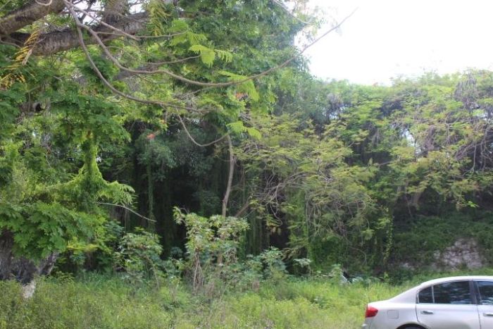 MLS# 62891   New Providence/Paradise Island