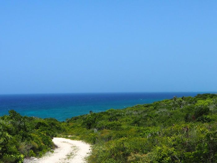 MLS# 63045 Vacant Lot Scrub Hill Long Island