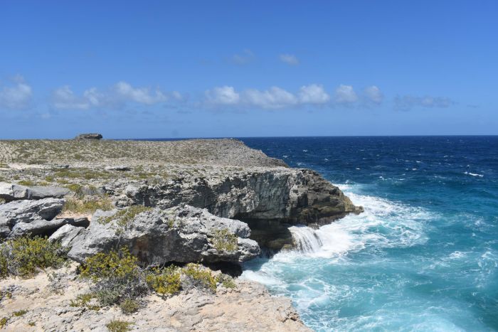 MLS# 63083 Eleuthera Lot Whale Point Eleuthera