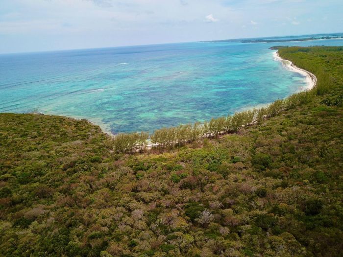 MLS# 63097 Tarpum Bay Acreage Tarpum Bay Eleuthera