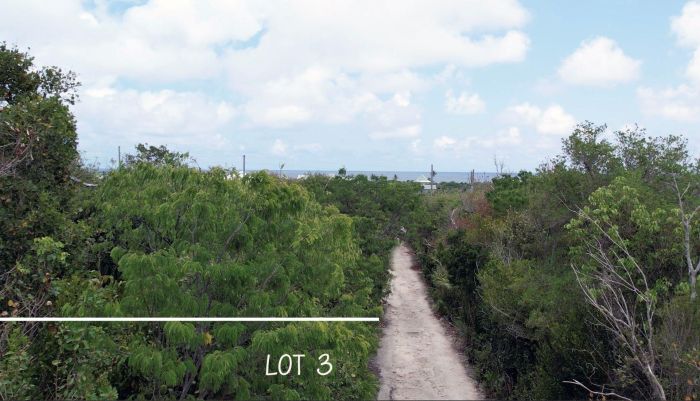 MLS# 63108  Elbow Cay/Hope Town Abaco