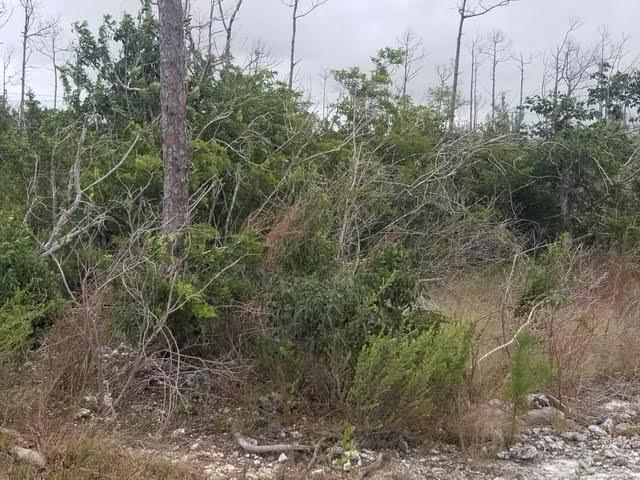 MLS# 63109  Other Grand Bahama/Freeport Grand Bahama/Freeport